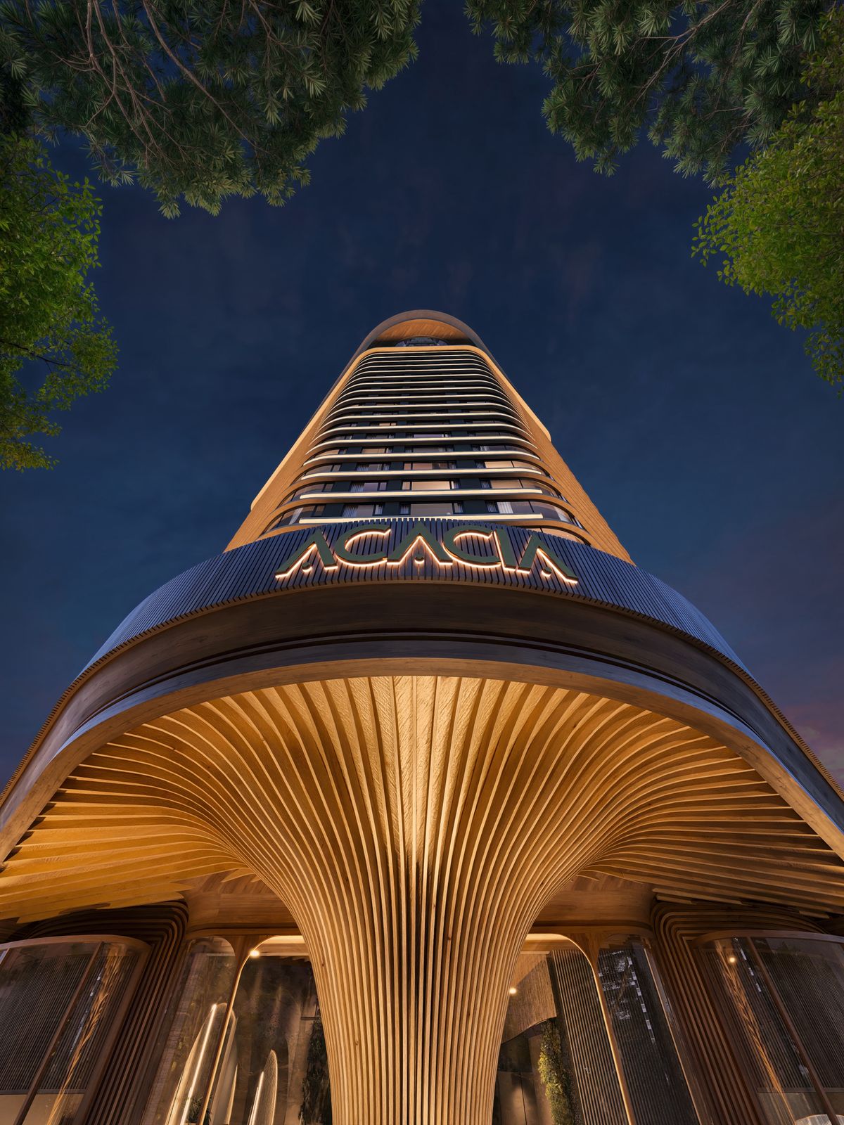 A-One Acacia